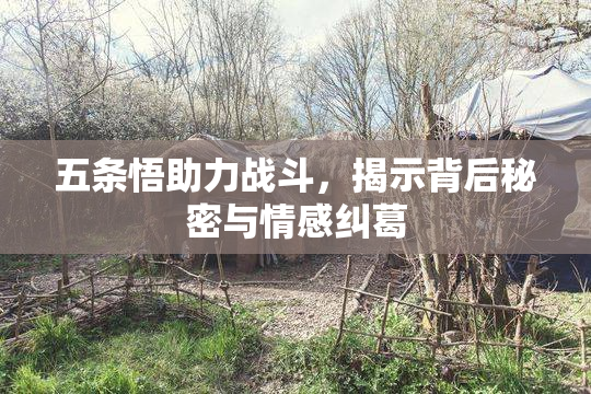 五条悟助力战斗，揭示背后秘密与情感纠葛