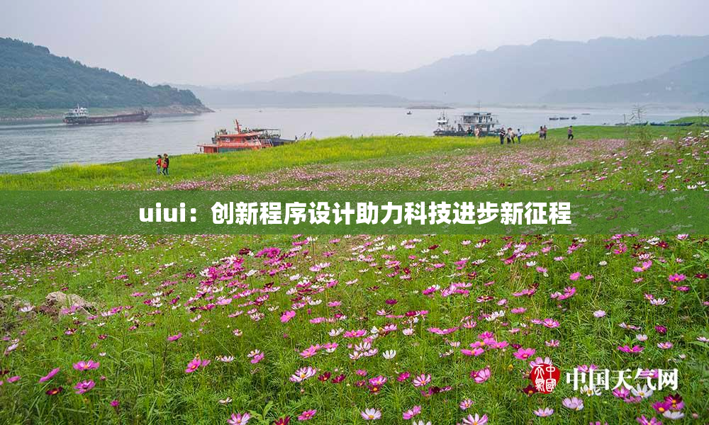 uiui：创新程序设计助力科技进步新征程