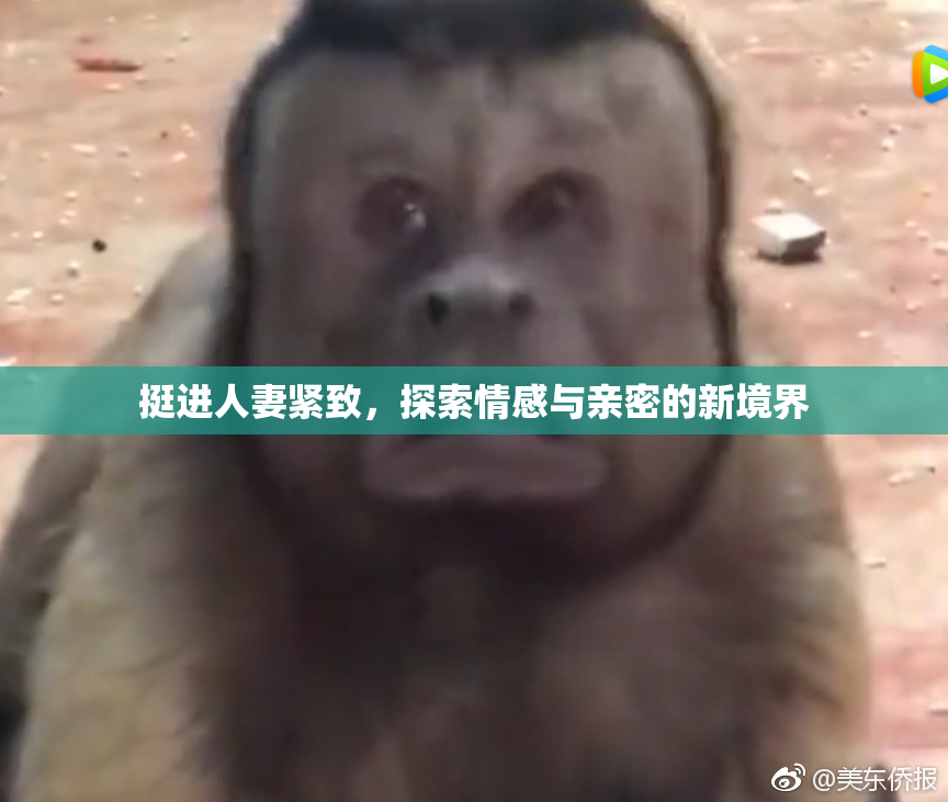 挺进人妻紧致，探索情感与亲密的新境界