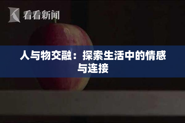 人与物交融：探索生活中的情感与连接
