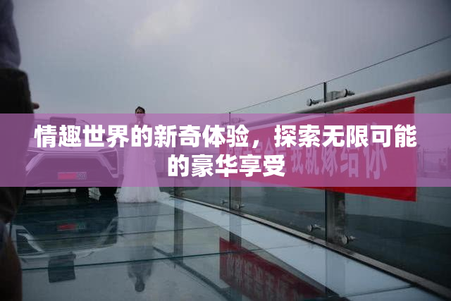 情趣世界的新奇体验，探索无限可能的豪华享受