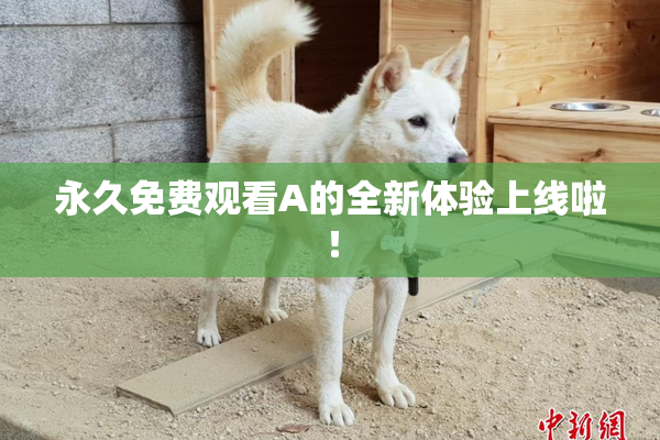 永久免费观看A的全新体验上线啦！