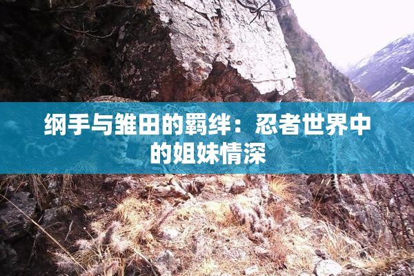 纲手与雏田的羁绊：忍者世界中的姐妹情深