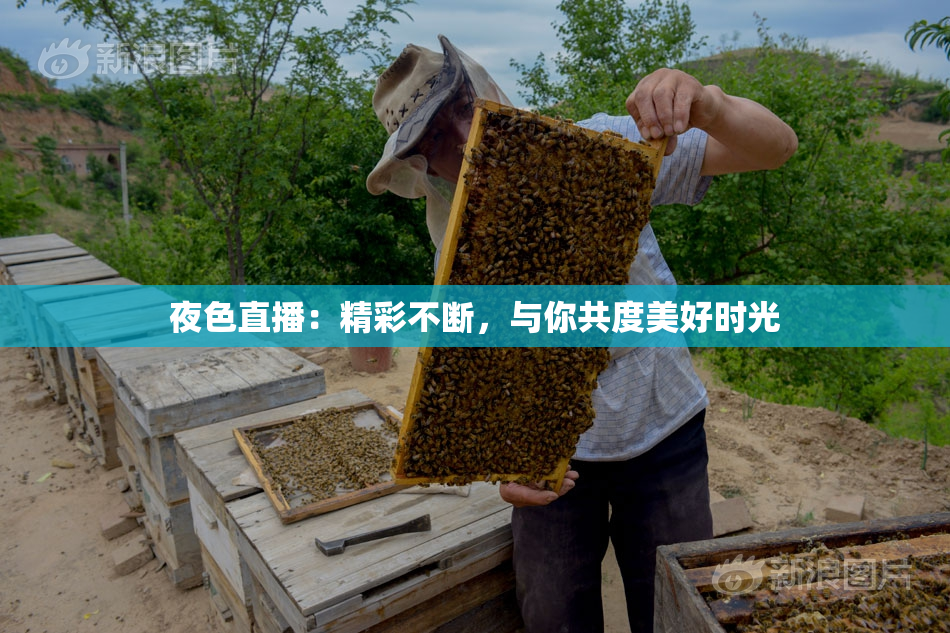 夜色直播：精彩不断，与你共度美好时光