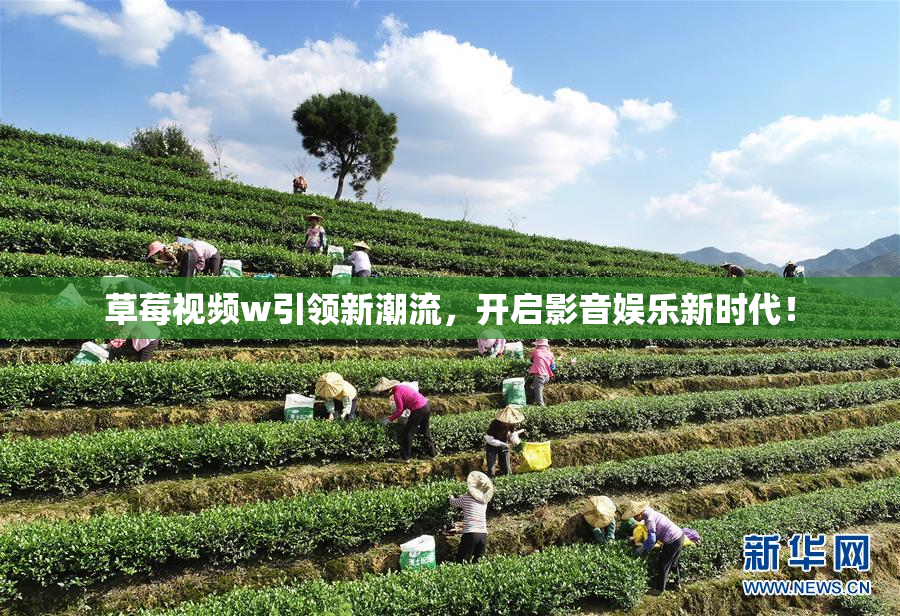 草莓视频w引领新潮流，开启影音娱乐新时代！