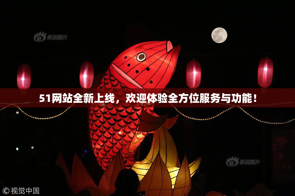 51网站全新上线，欢迎体验全方位服务与功能！
