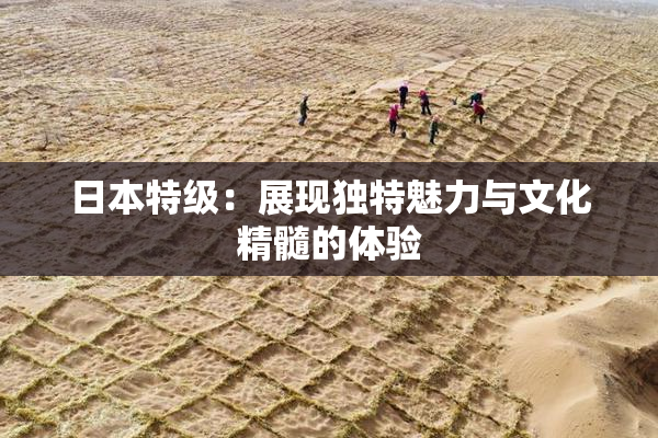 日本特级：展现独特魅力与文化精髓的体验