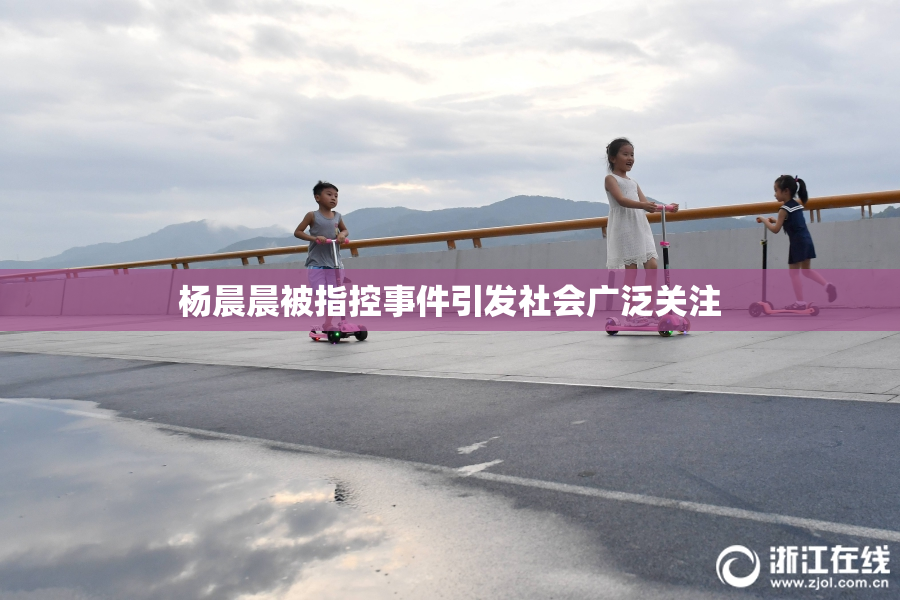 杨晨晨被指控事件引发社会广泛关注