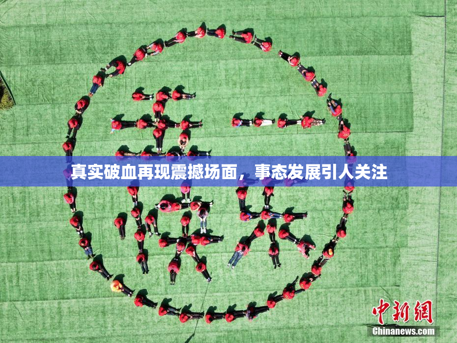 真实破血再现震撼场面，事态发展引人关注
