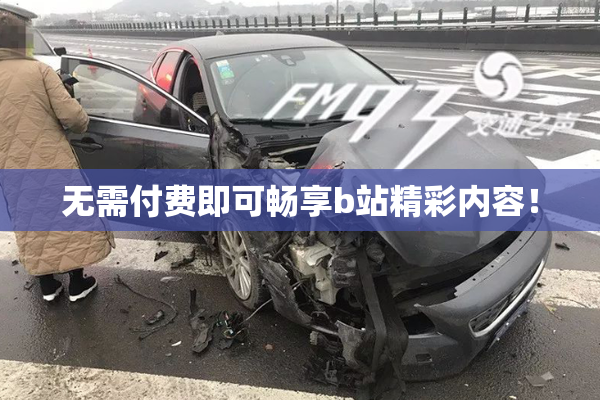 无需付费即可畅享b站精彩内容！