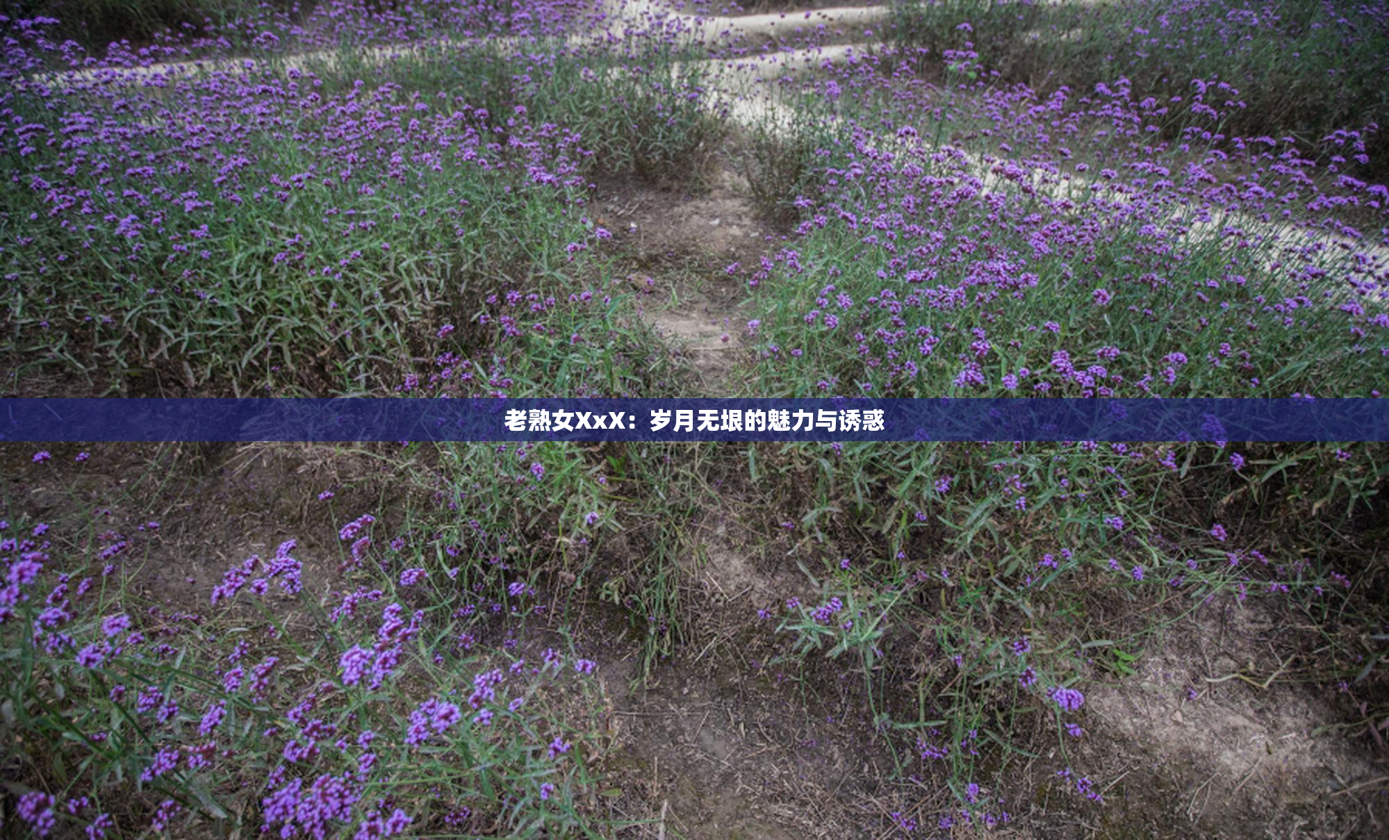 老熟女XxX：岁月无垠的魅力与诱惑