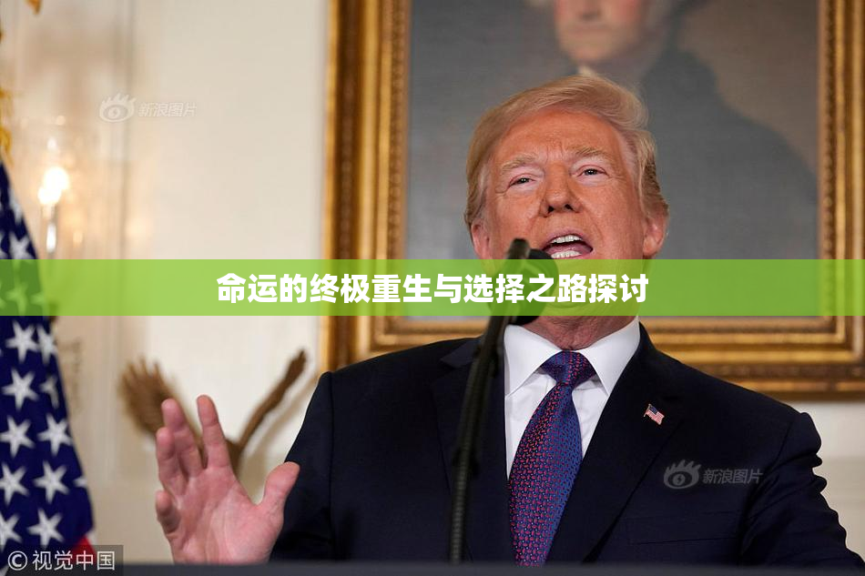 命运的终极重生与选择之路探讨