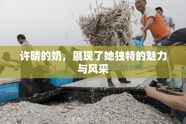 许晴的奶，展现了她独特的魅力与风采