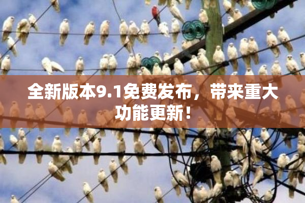 全新版本9.1免费发布，带来重大功能更新！