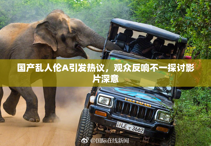 国产乱人伦A引发热议，观众反响不一探讨影片深意