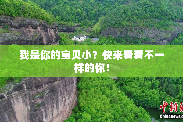 我是你的宝贝小？快来看看不一样的你！
