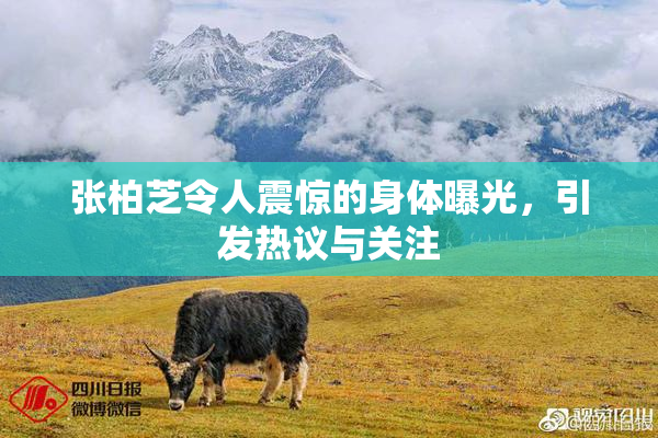 张柏芝令人震惊的身体曝光，引发热议与关注