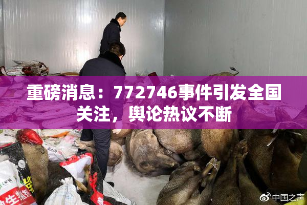 重磅消息：772746事件引发全国关注，舆论热议不断