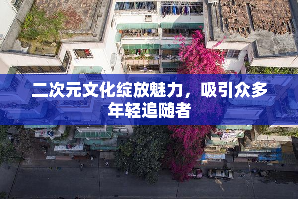 二次元文化绽放魅力，吸引众多年轻追随者