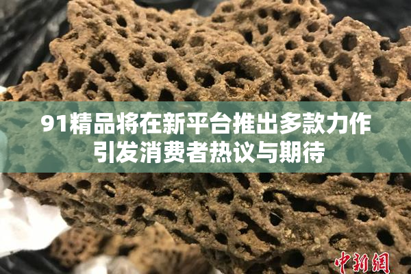 91精品将在新平台推出多款力作 引发消费者热议与期待
