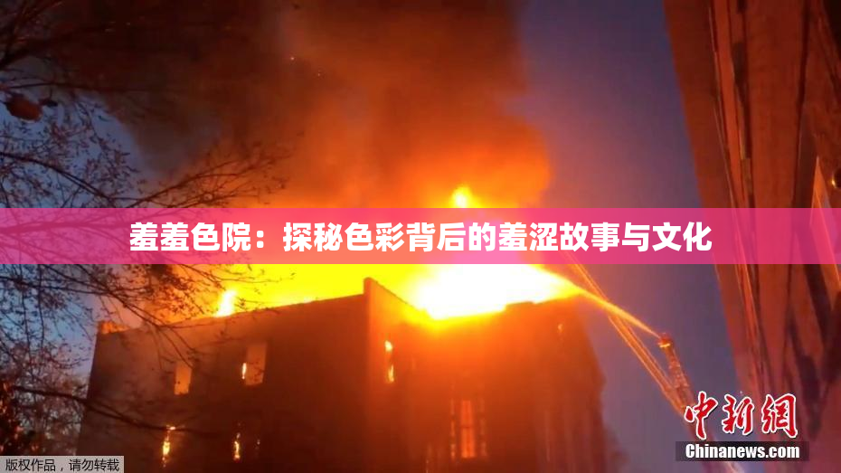 羞羞色院：探秘色彩背后的羞涩故事与文化