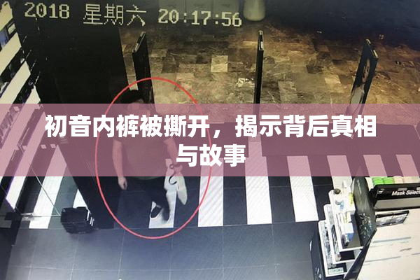 初音内裤被撕开，揭示背后真相与故事