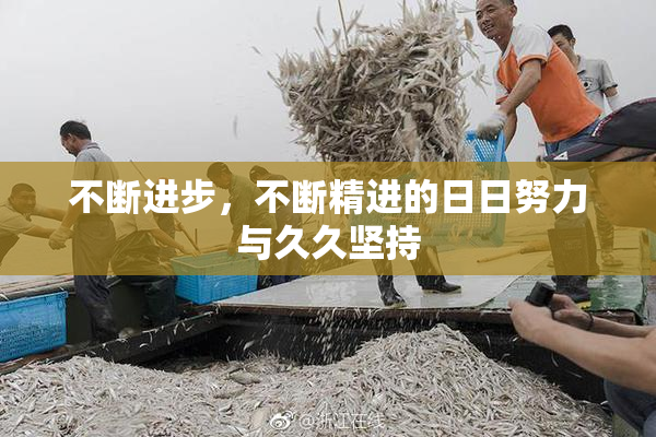 不断进步，不断精进的日日努力与久久坚持