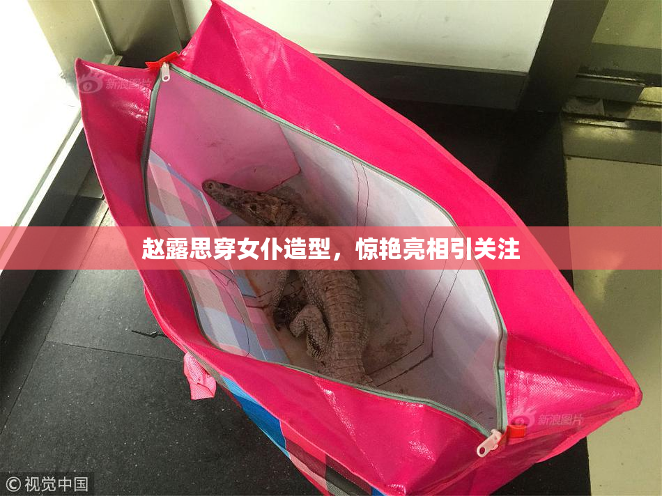 赵露思穿女仆造型，惊艳亮相引关注