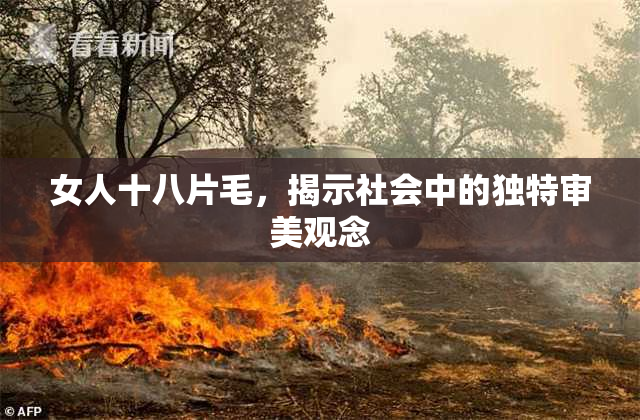 女人十八片毛，揭示社会中的独特审美观念