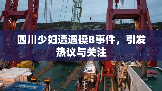 四川少妇遭遇搡B事件，引发热议与关注