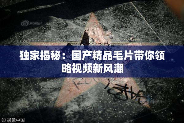 独家揭秘：国产精品毛片带你领略视频新风潮