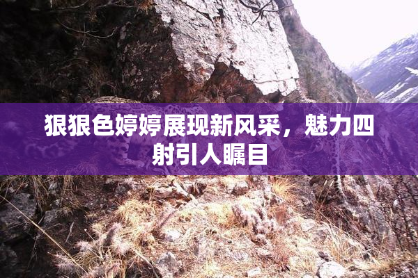 狠狠色婷婷展现新风采，魅力四射引人瞩目