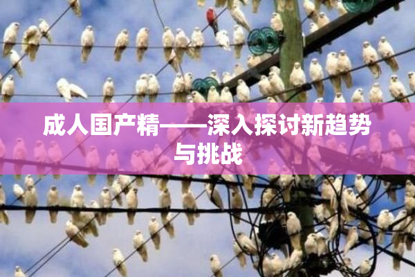 成人国产精——深入探讨新趋势与挑战