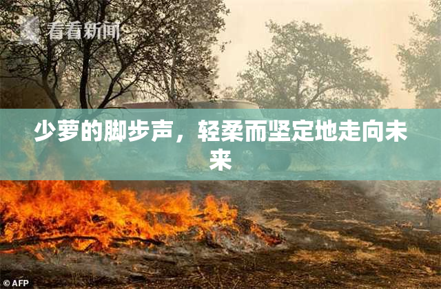 少萝的脚步声，轻柔而坚定地走向未来