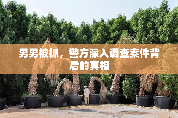 男男被抓，警方深入调查案件背后的真相