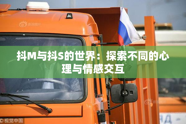 抖M与抖S的世界：探索不同的心理与情感交互