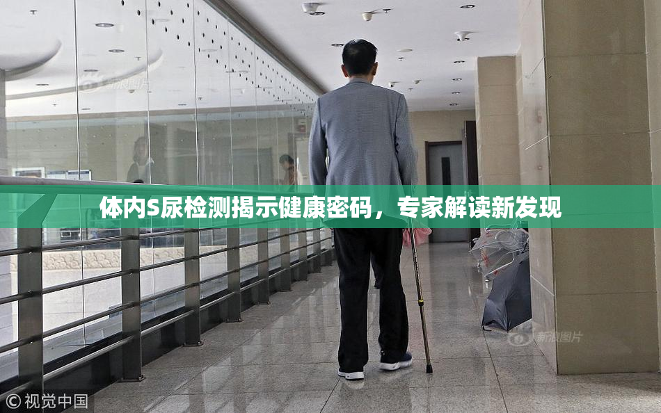 体内S尿检测揭示健康密码，专家解读新发现