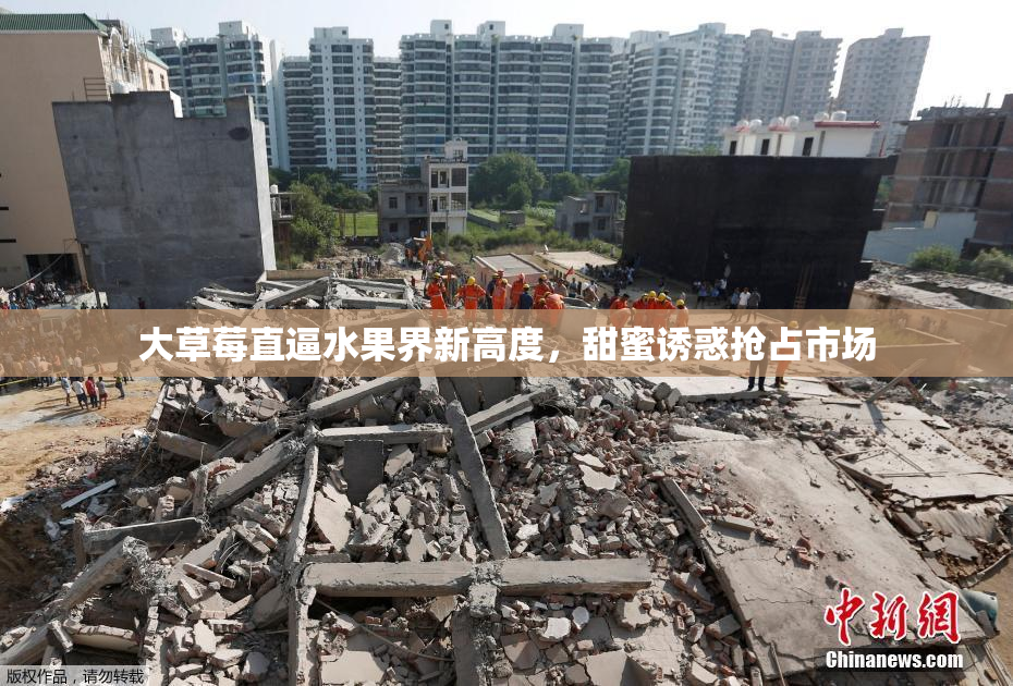 大草莓直逼水果界新高度，甜蜜诱惑抢占市场