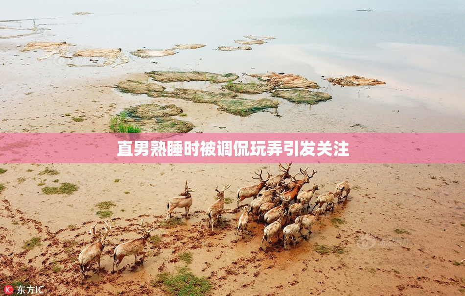 直男熟睡时被调侃玩弄引发关注