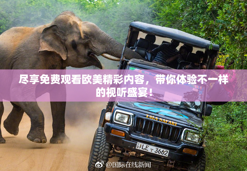 尽享免费观看欧美精彩内容，带你体验不一样的视听盛宴！
