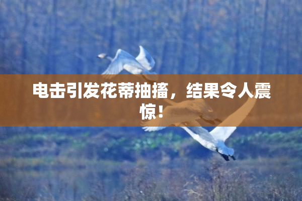 电击引发花蒂抽搐，结果令人震惊！