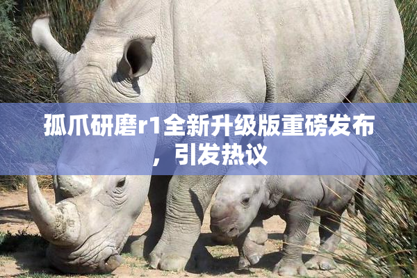 孤爪研磨r1全新升级版重磅发布，引发热议