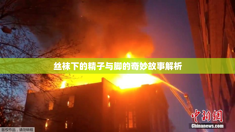 丝袜下的精子与脚的奇妙故事解析