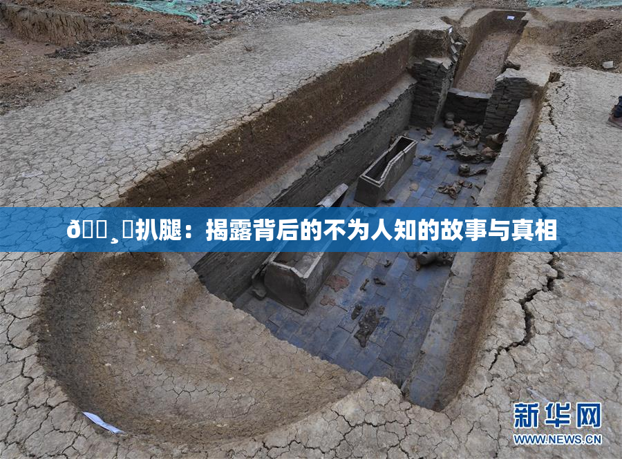 🌸‌扒腿：揭露背后的不为人知的故事与真相