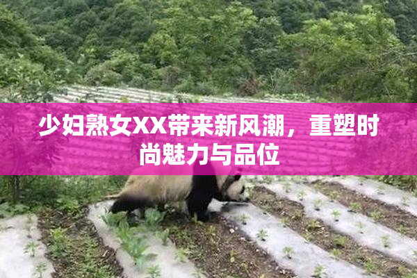 少妇熟女XX带来新风潮，重塑时尚魅力与品位