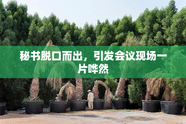 秘书脱口而出，引发会议现场一片哗然