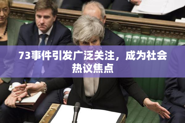 73事件引发广泛关注，成为社会热议焦点
