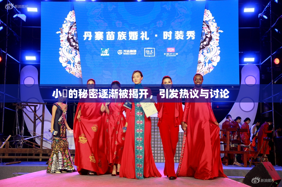 小泬的秘密逐渐被揭开，引发热议与讨论
