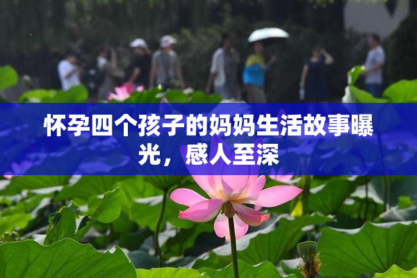 怀孕四个孩子的妈妈生活故事曝光，感人至深
