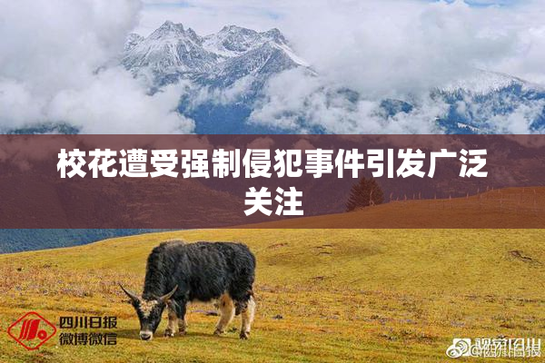 校花遭受强制侵犯事件引发广泛关注